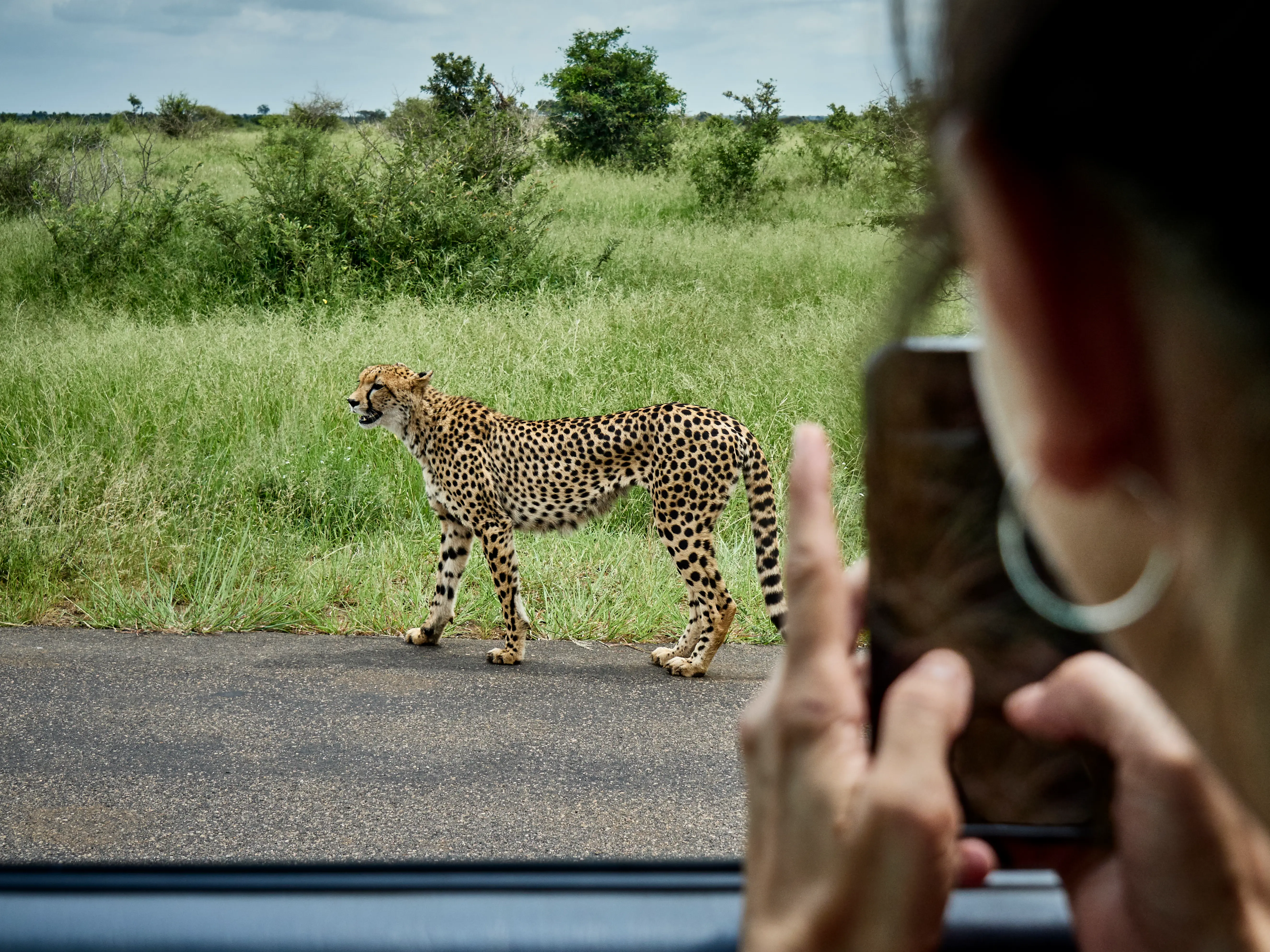 Touristen erkunden die Stadt mit einem lokalen Reiseleiter nach der Ankunft in Tansania Safari.